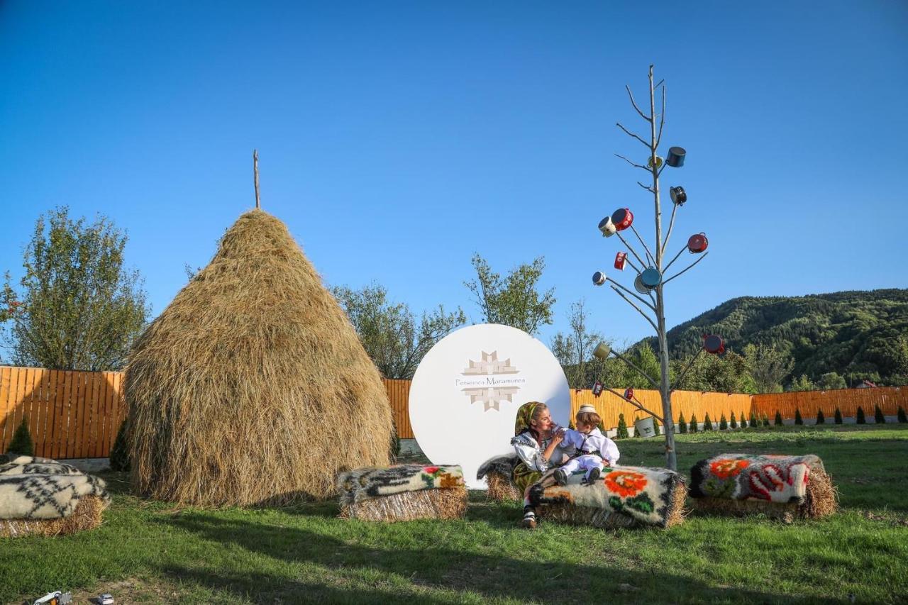 Pensiunea Maramures Guesthouse Viseu de Jos Bagian luar foto