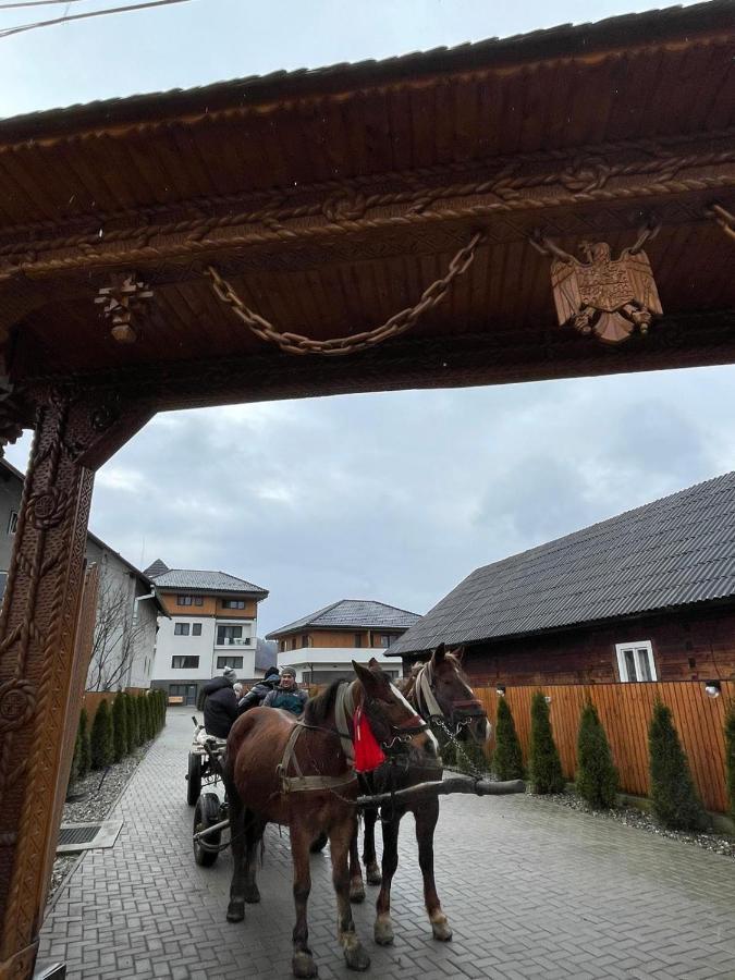 Pensiunea Maramures Guesthouse Viseu de Jos Bagian luar foto